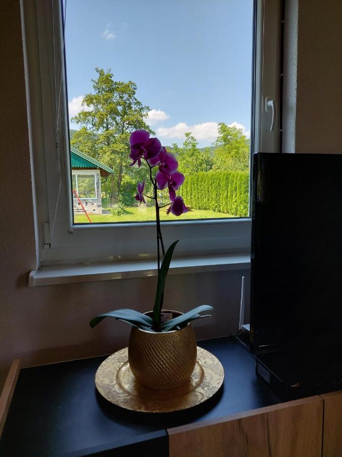 Casa de Férias La Reina Bihać